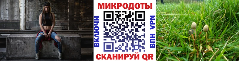 Псилоцибиновые грибы Psilocybine cubensis  Плёс 